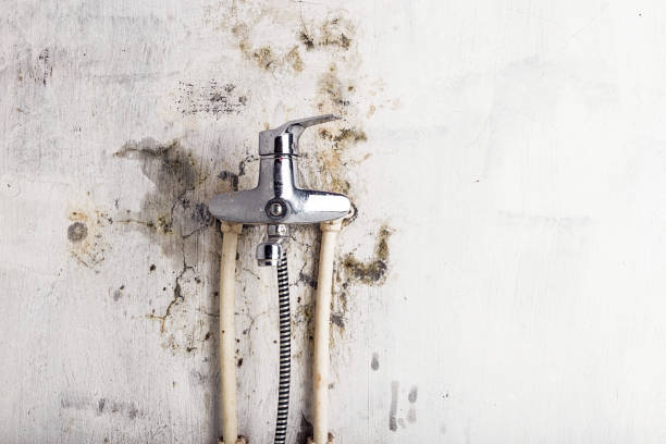 Best Emergency Mold Removal  in Fairview, OK