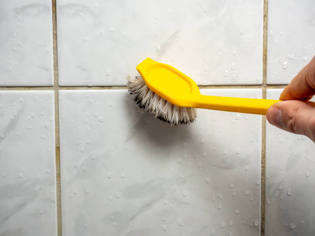 Best Toxic Mold Removal  in Fairview, OK