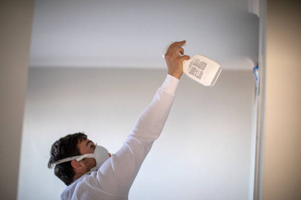 Best Residential Mold Removal  in Fairview, OK