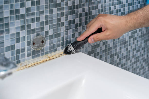 Best Fast Mold Removal  in Fairview, OK